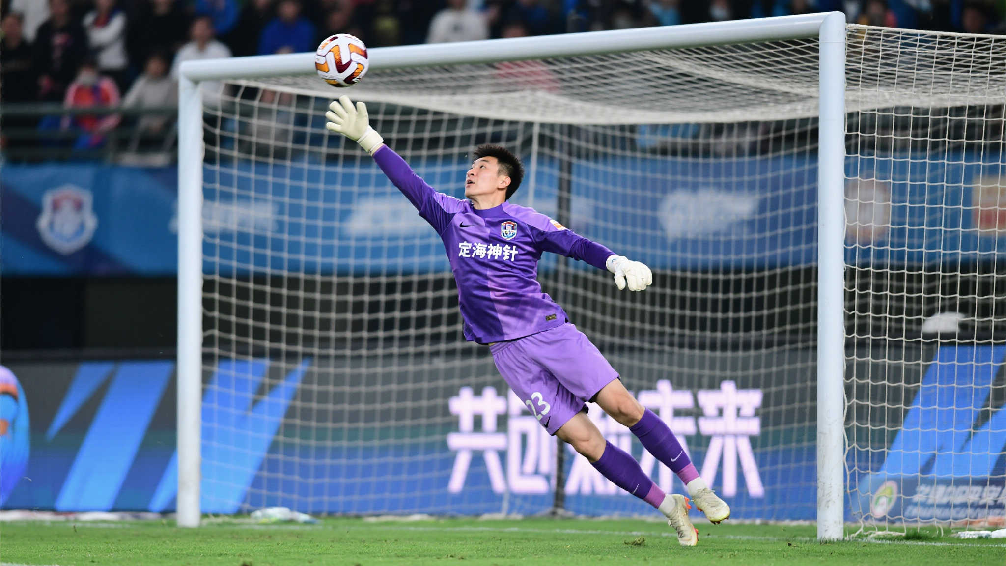 了桑托斯队 了桑托斯队