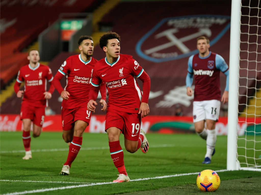 作为国内知 作为国内知