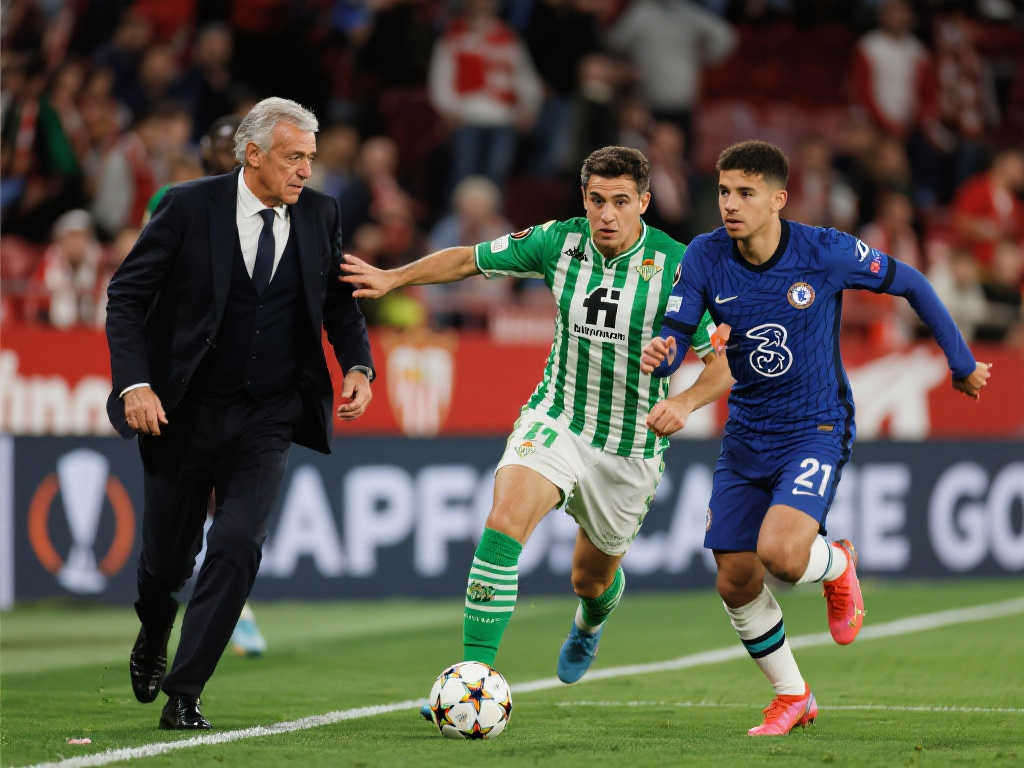 生游泳比赛 生游泳比赛