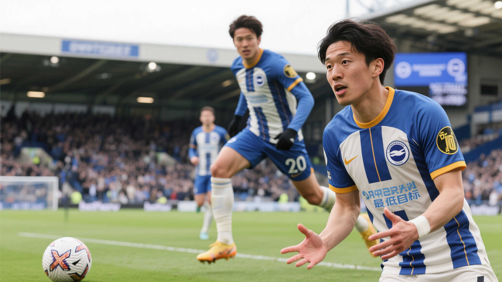 彩程度增加 彩程度增加