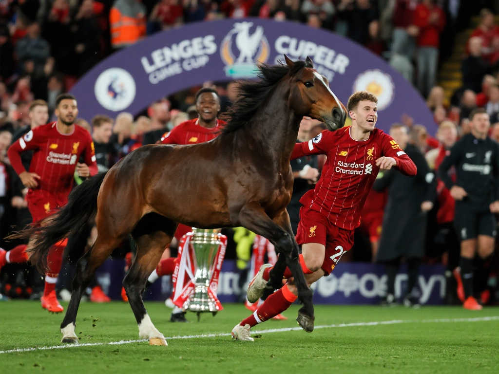 识的培养 识的培养